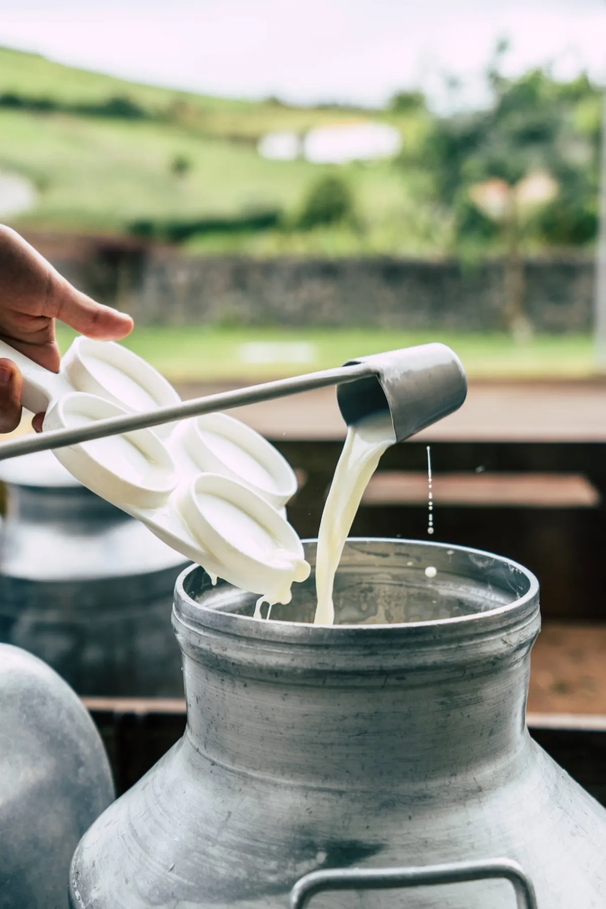 Marcas que lhe dão o melhor da Natureza dos Açores