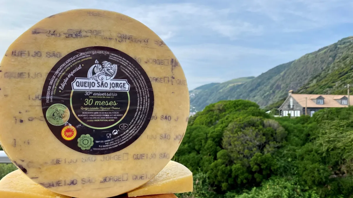 The special edition of Queijo São Jorge DOP 30 months launched by Uniqueijo and LactAçores