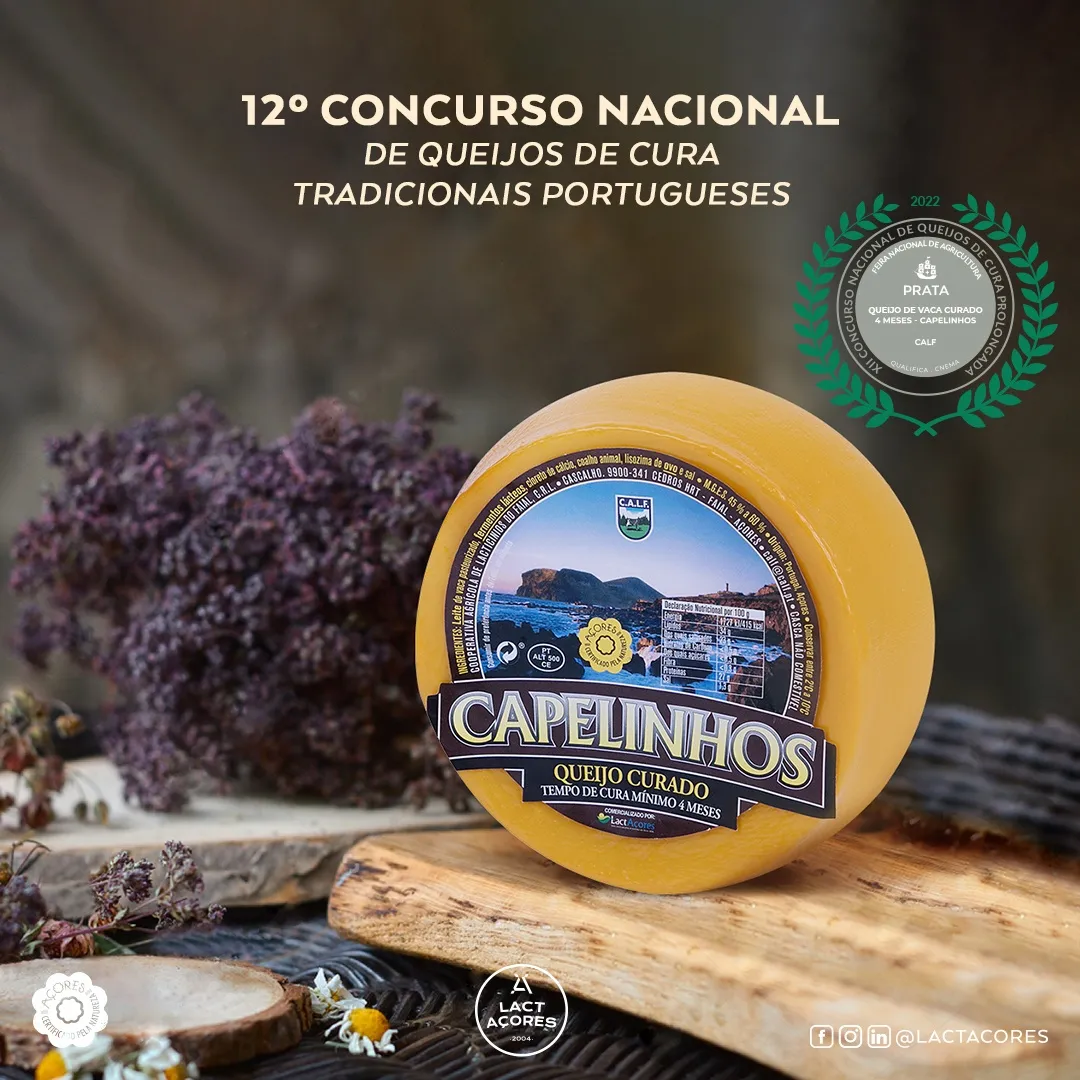 ILHA AZUL, CAPELINHOS AND SÃO JORGE PDO CHEESES AWARDED GOLD AND SILVER MEDALS 