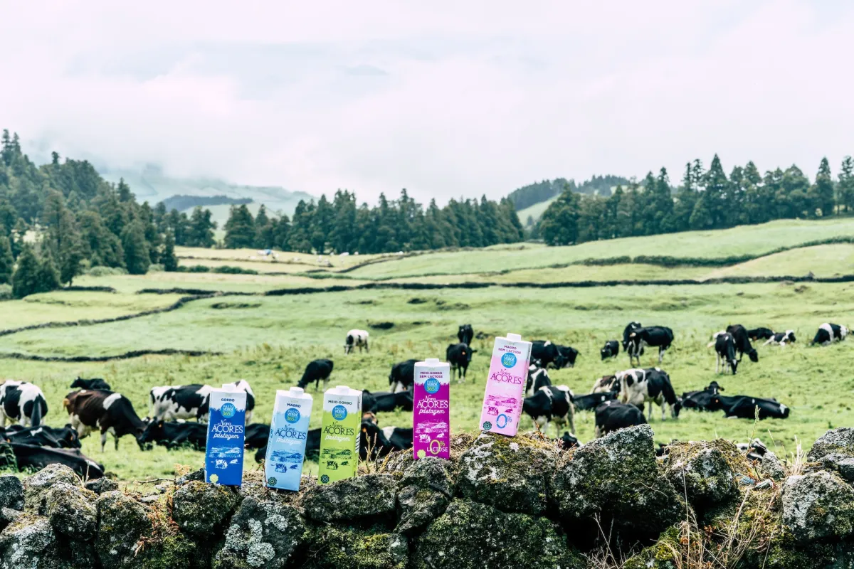 Marcas que lhe dão o melhor da Natureza dos Açores