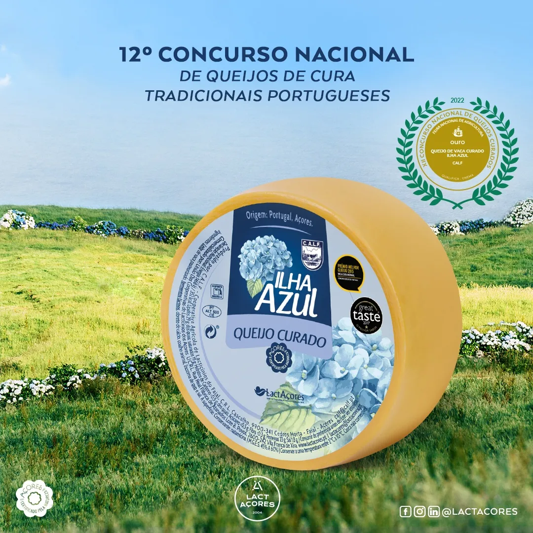 QUEIJOS PRATO CURADO ILHA AZUL, CAPELINHOS E SÃO JORGE DOP PREMIADOS COM MEDALHAS DE OURO E PRATA 