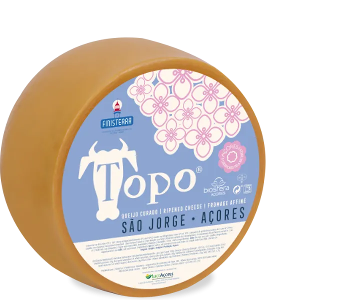 Topo